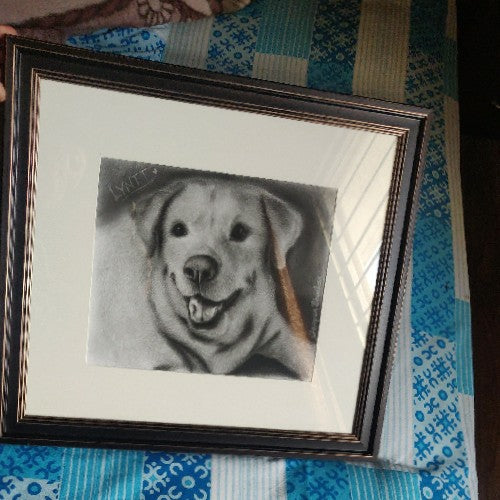 Pet Portrait - Lyntt SOLD🔴