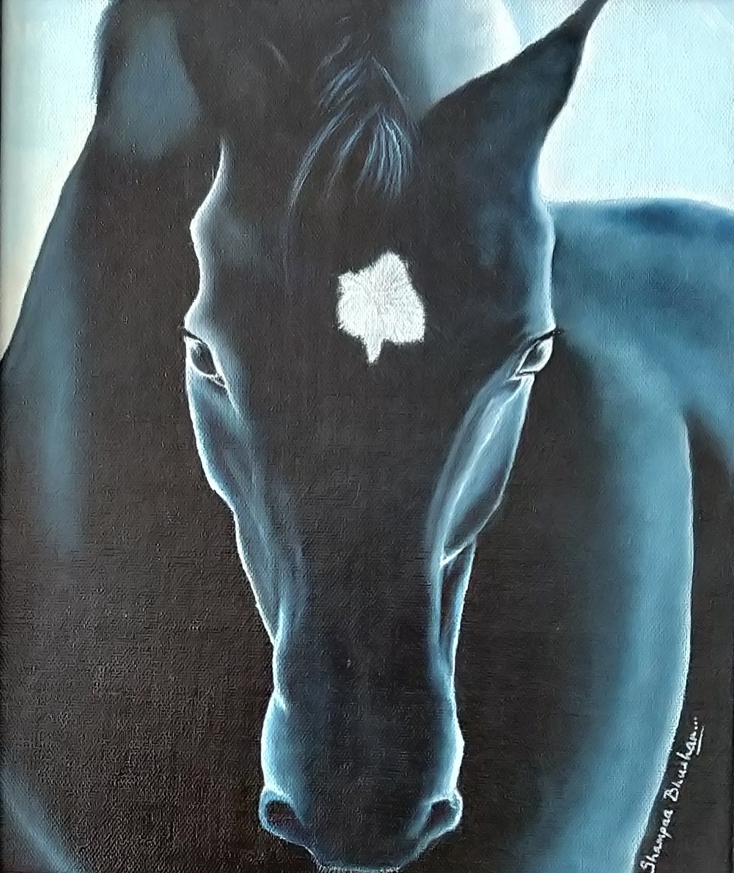 The Black Beauty