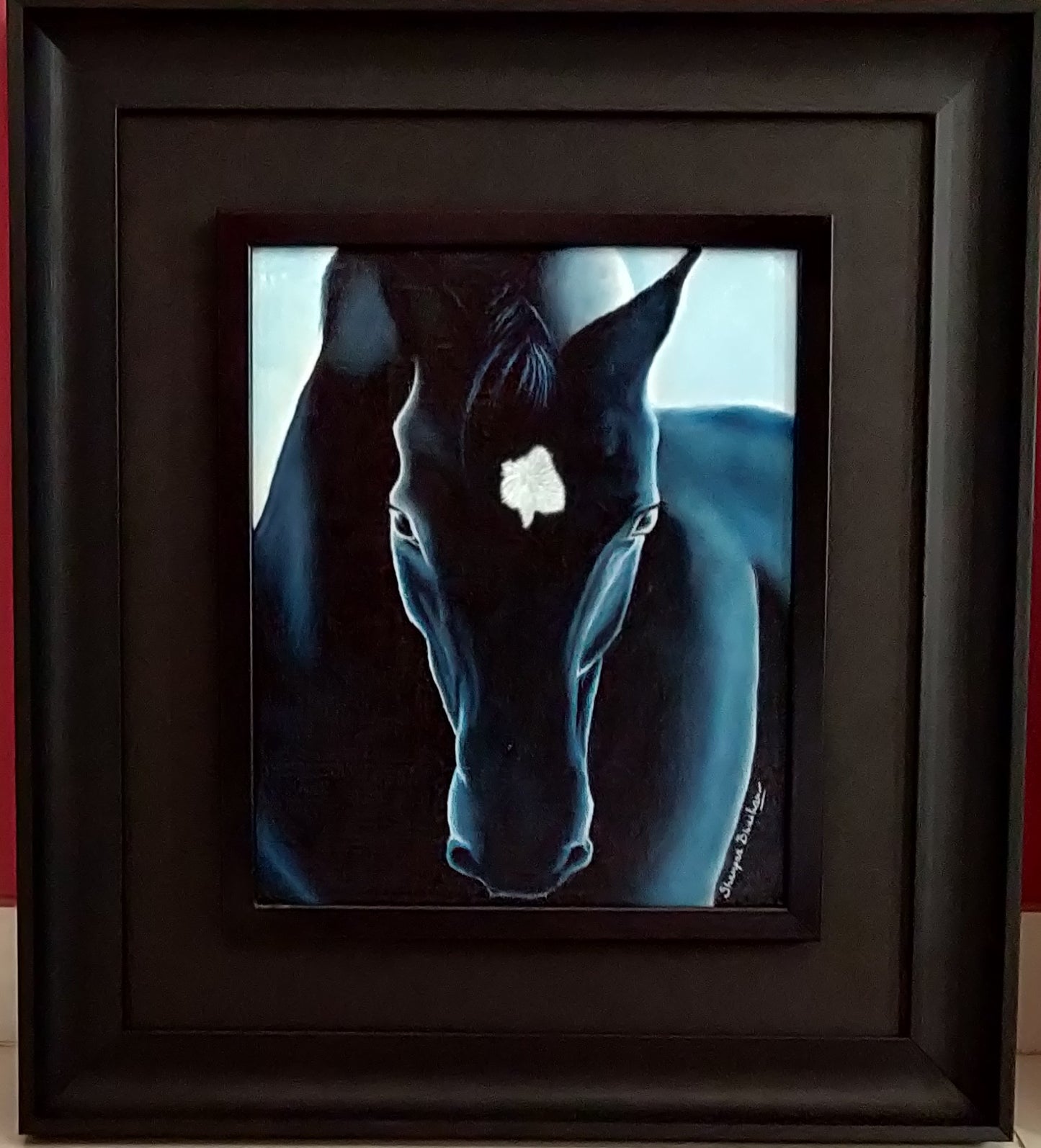 The Black Beauty