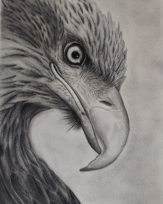 Eagle Eye