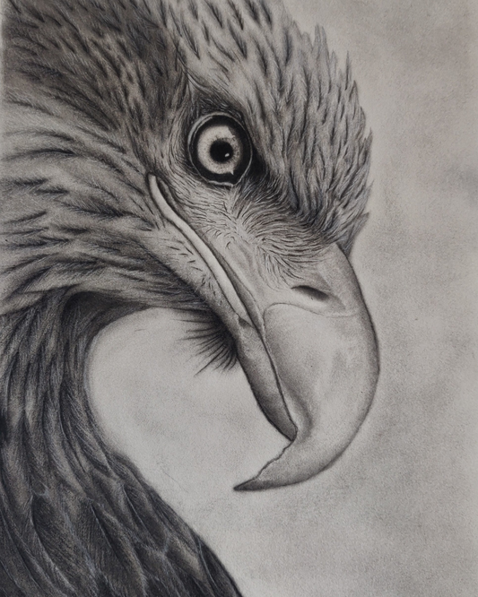 Eagle Eye : Print of original - Canvas Roll - 12x14 Inches