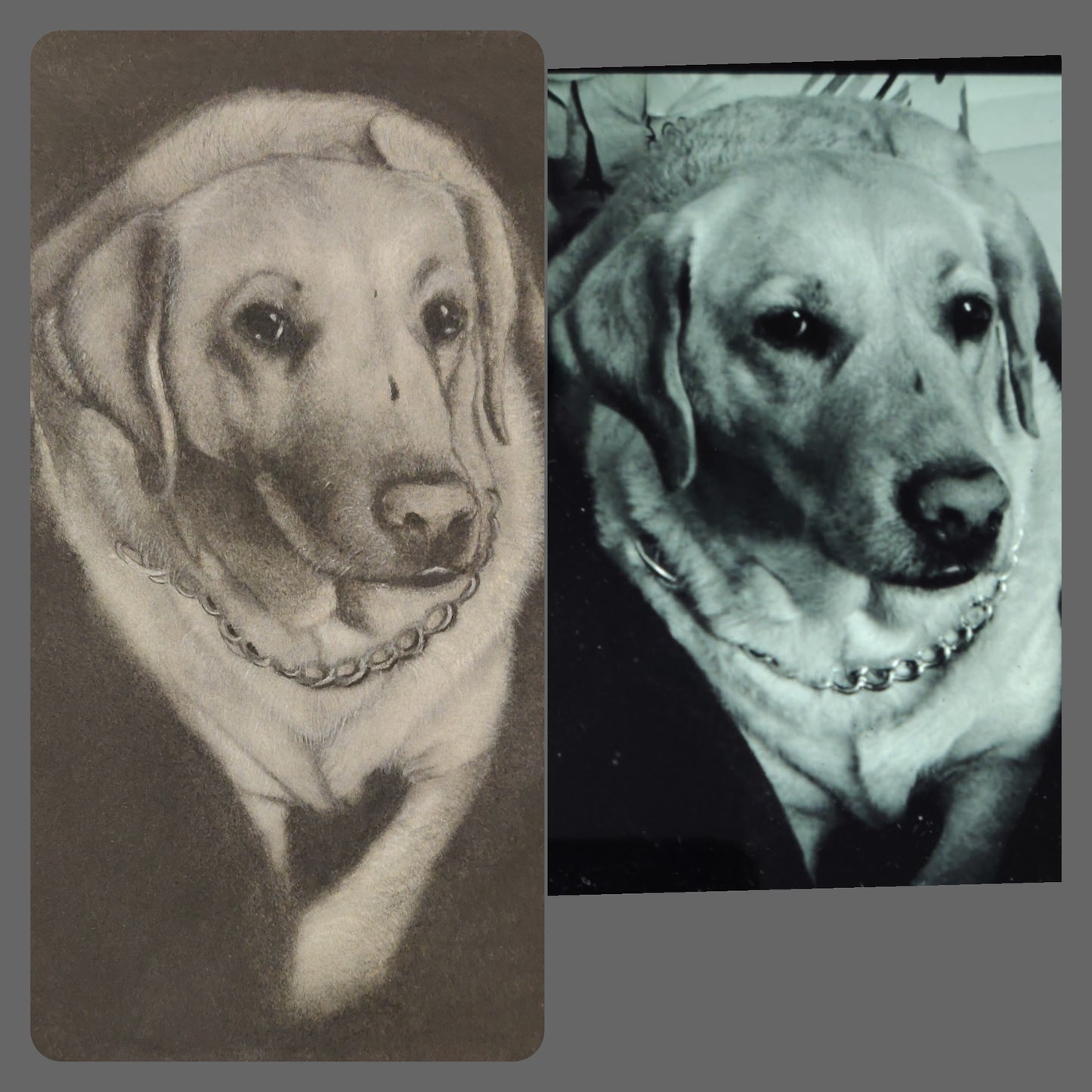 Realistic Charcoal Portraits - Pets, Kids, Family Portraits
