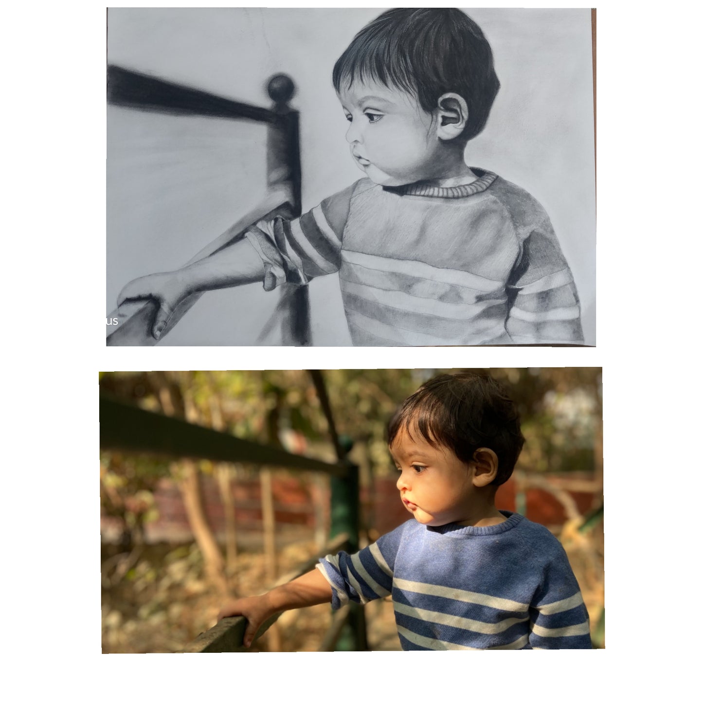 Realistic Charcoal Portraits - Pets, Kids, Family Portraits