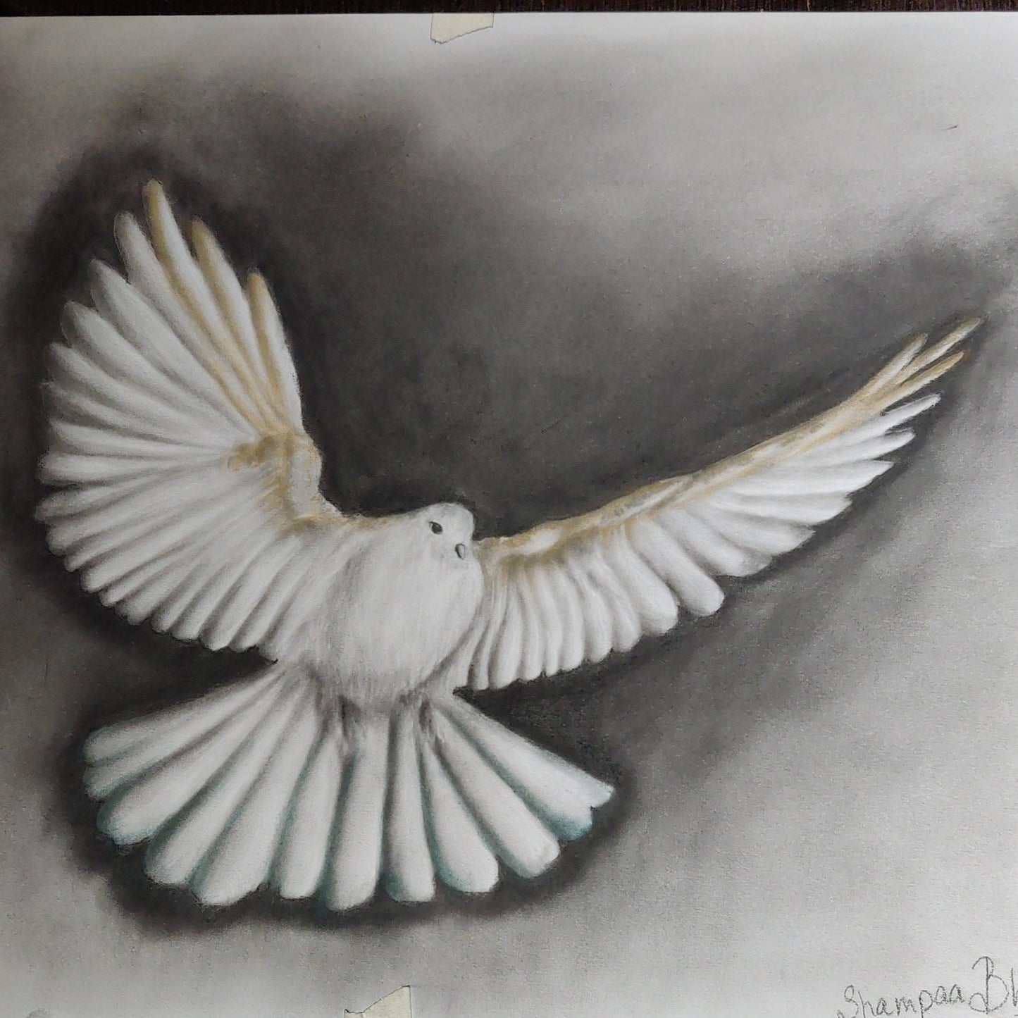Peace : Original