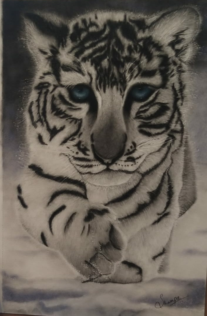 Snow Leopard : Print of original - Canvas Roll - 12x14 Inches